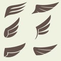 Wings set. Vector illustration of different bird wings